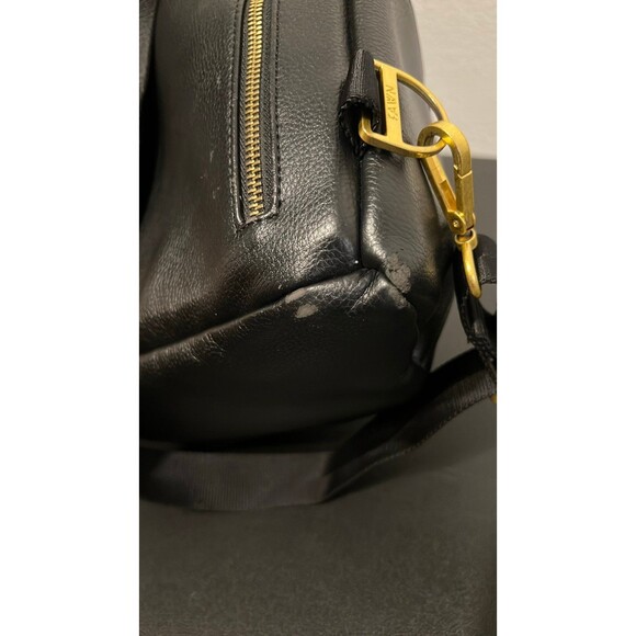 Fawn - Picture 3 of 7